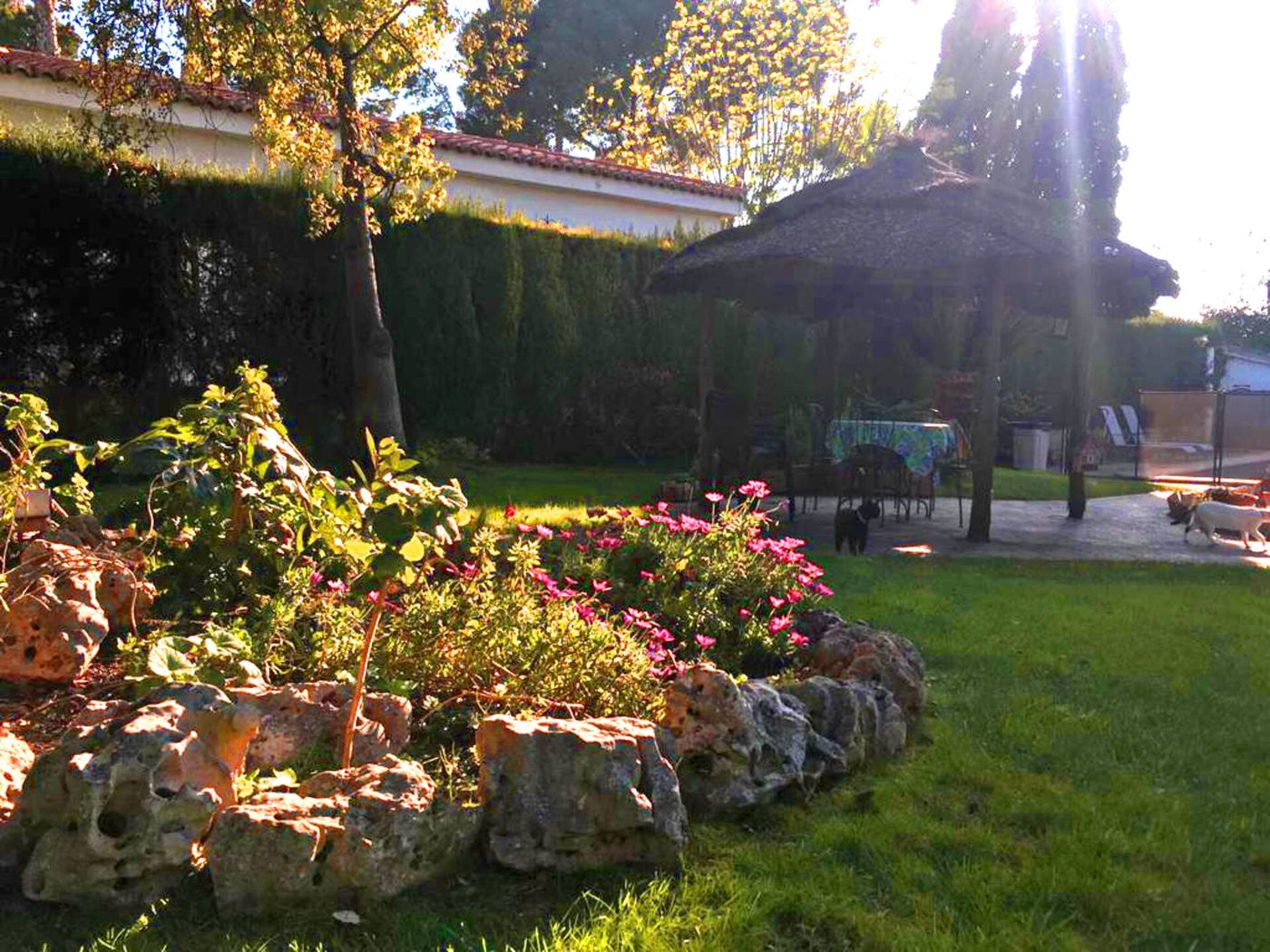 Jardín de Hacienda Cobin con rocalla en flor y cenador