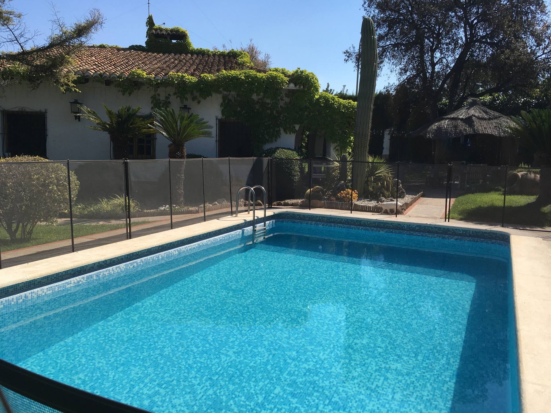 Piscina y jardín de Hacienda Cobin, una de las casas que gestiona Casa Niu